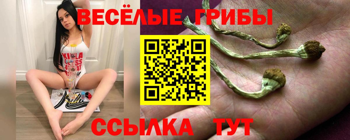 Галлюциногенные грибы Magic Shrooms  Псилоцибиновые грибы Magic Shrooms  где найти наркотики  Алапаевск  Вход с VPN 